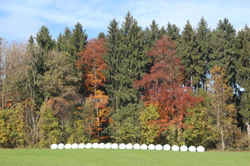 Gasthof Landhotel Hirsch Ostrach Dış mekan fotoğraf